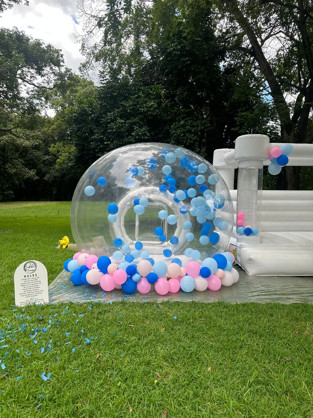 Gender Reveal Accessories