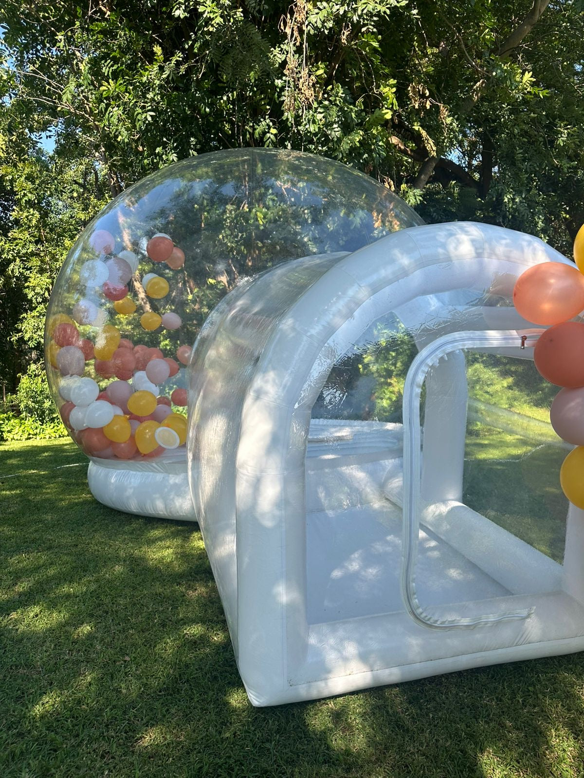 Bounce Bubble (4m x 8m)