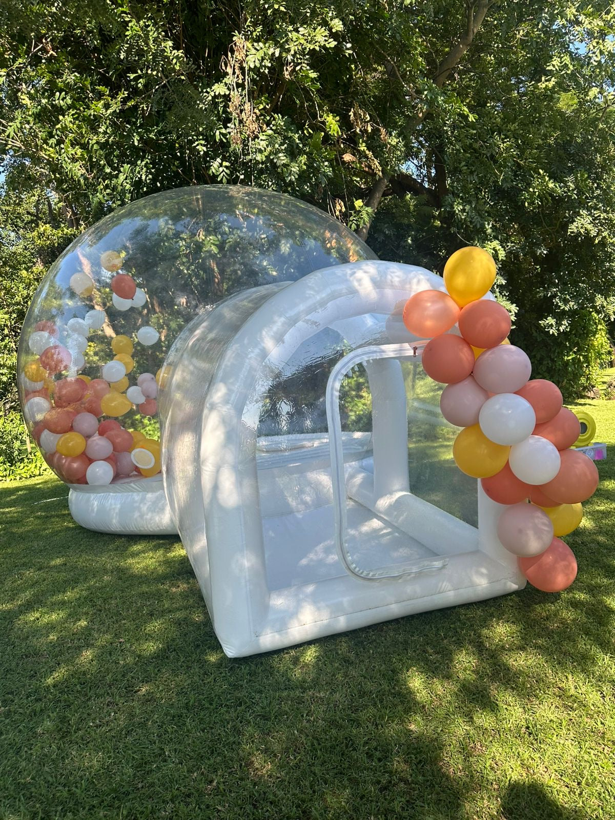 Bubble Houses